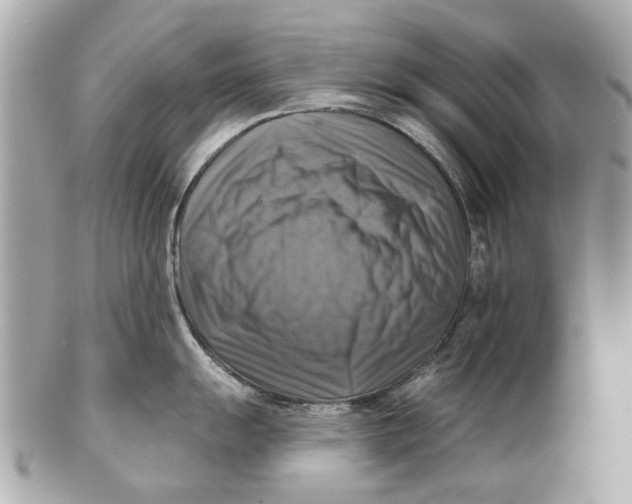 X0000102501055200808291707