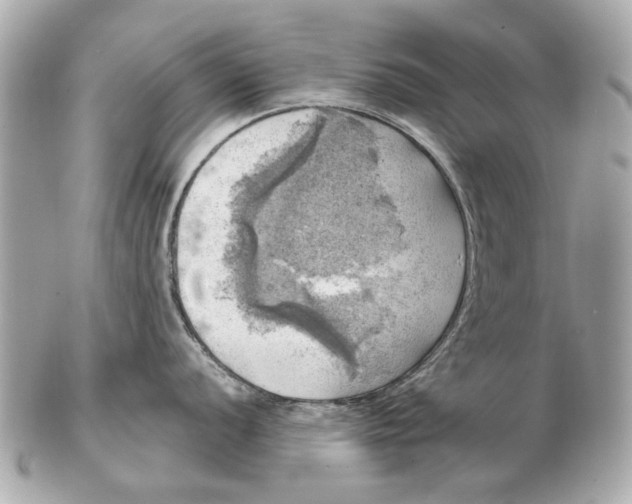 X0000102501056200808291707