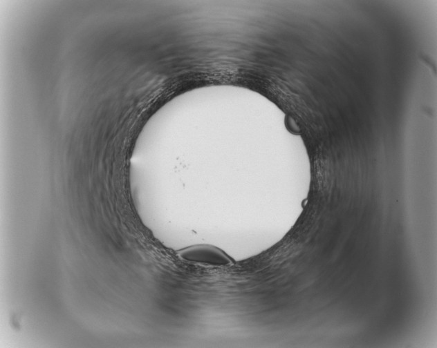 X0000102501057200808291707