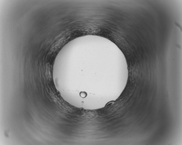 X0000102501058200808291707