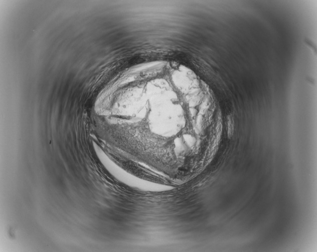 X0000102501059200808291707