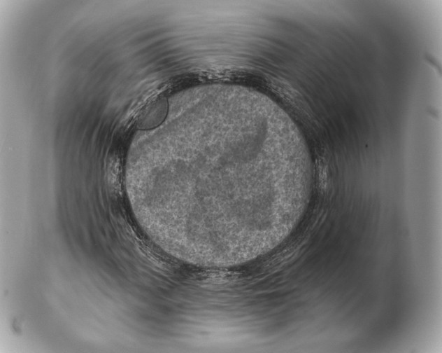 X0000102501060200808291706