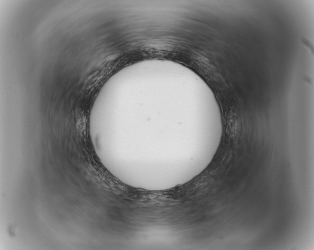 X0000102501061200808291706