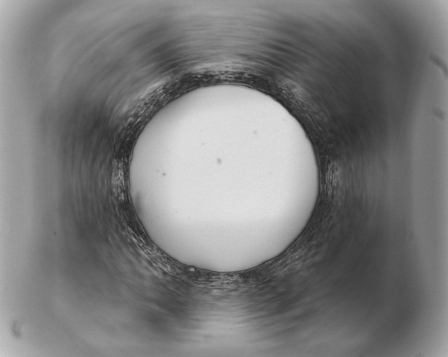 X0000102501062200808291706