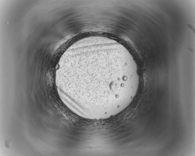 X0000102501064200808291706