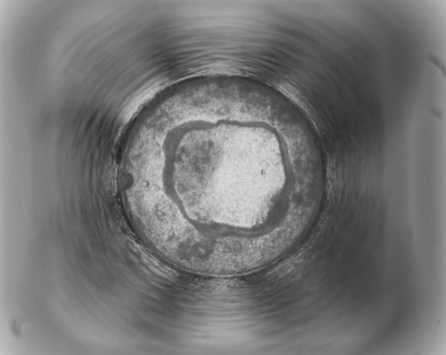 X0000102501067200808291706