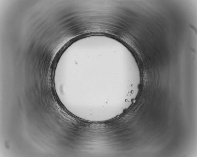 X0000102501068200808291706