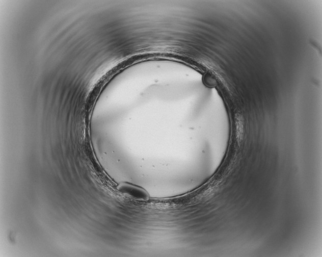 X0000102501069200808291706