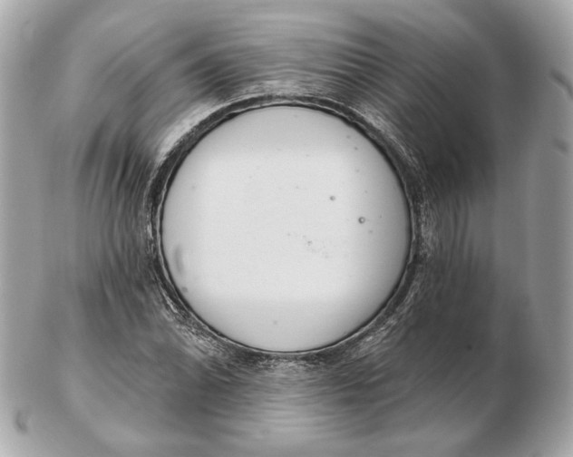 X0000102501070200808291706