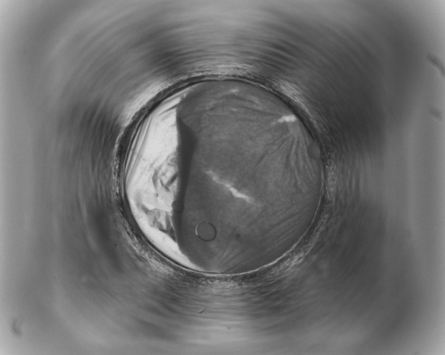 X0000102501071200808291706