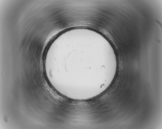 X0000102501072200808291706