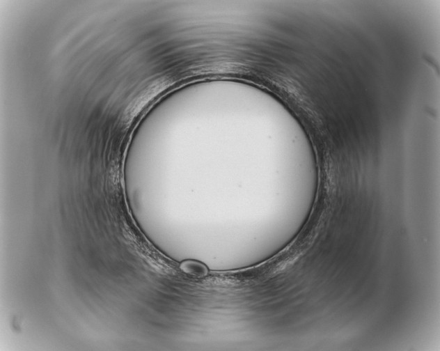 X0000102501073200808291706