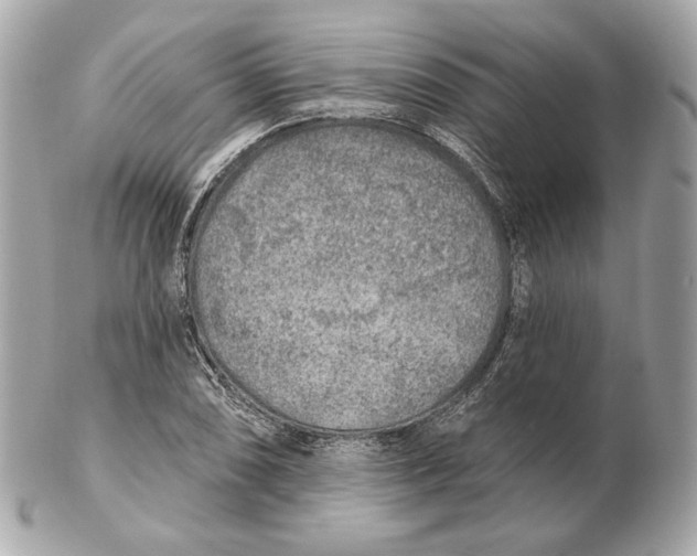 X0000102501074200808291706