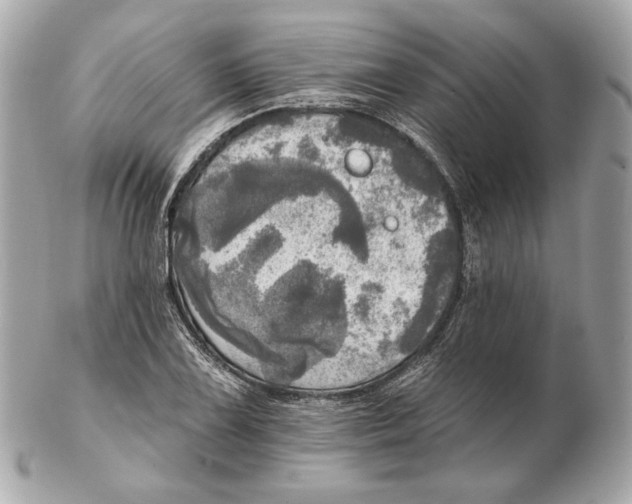 X0000102501075200808291706