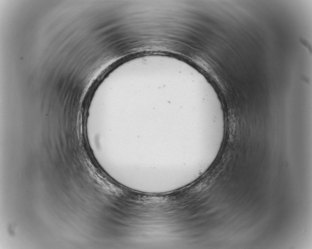 X0000102501076200808291706