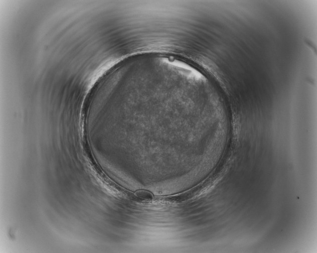 X0000102501077200808291706