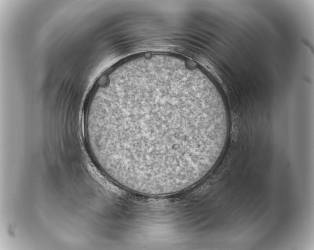 X0000102501080200808291706