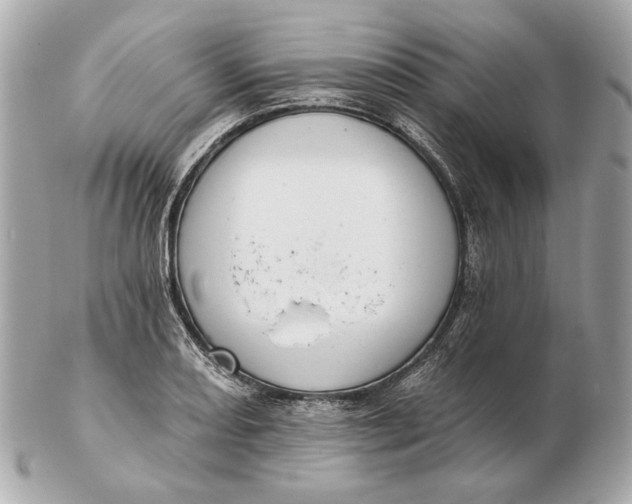 X0000102501082200808291706