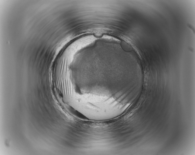 X0000102501083200808291706