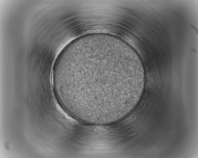 X0000102501084200808291706