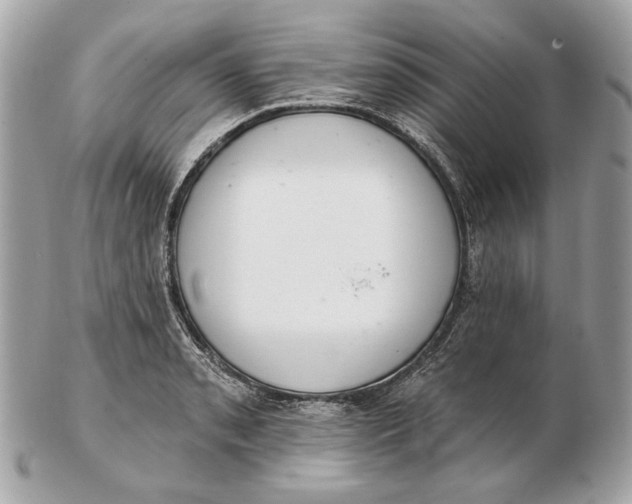 X0000102501085200808291706