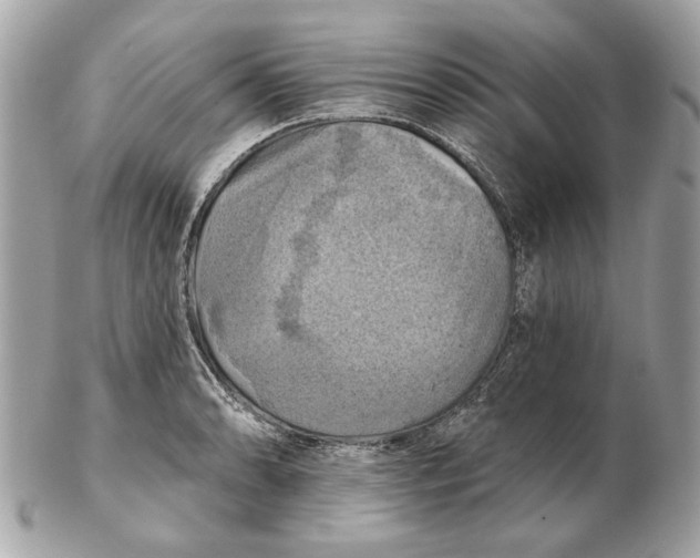 X0000102501086200808291706