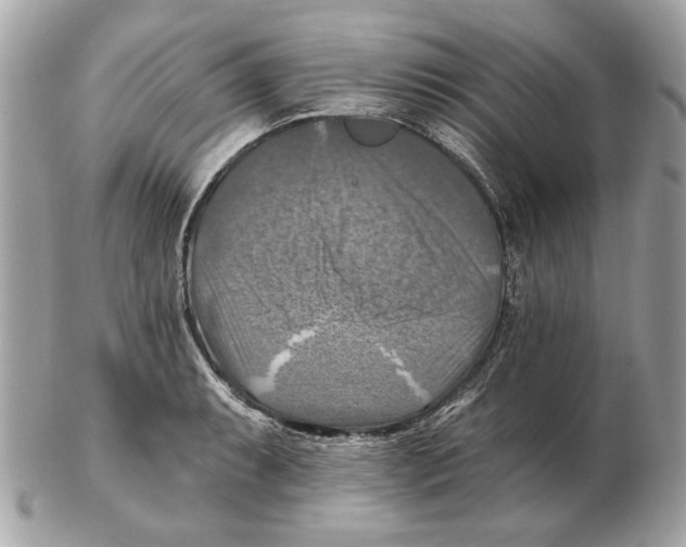 X0000102501087200808291706