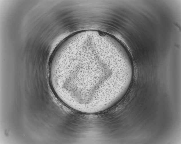 X0000102501088200808291706