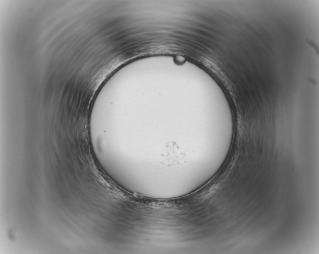 X0000102501089200808291706