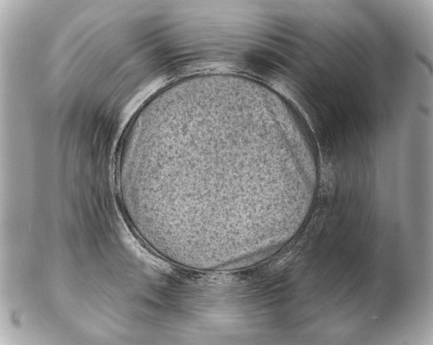 X0000102501090200808291706