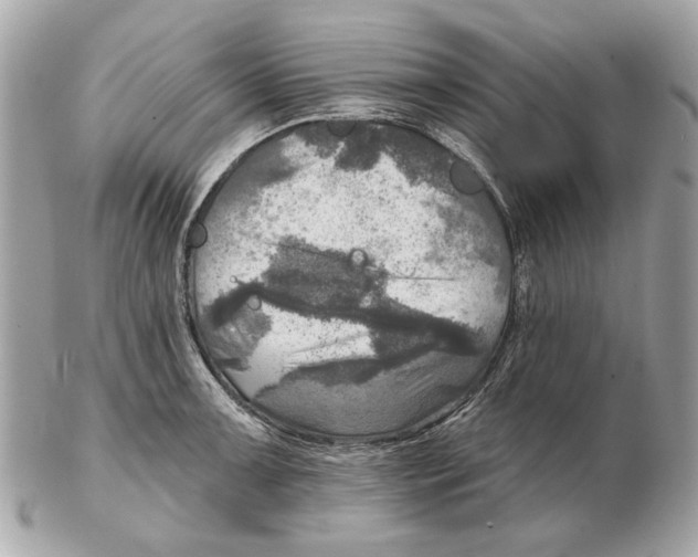 X0000102501091200808291706