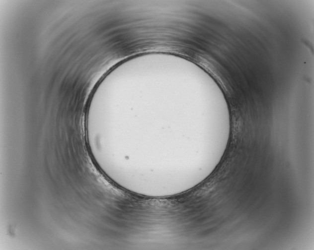 X0000102501092200808291706