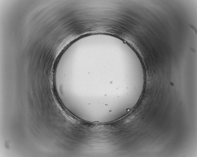 X0000102501093200808291706