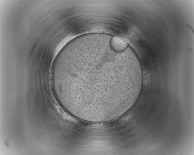 X0000102501094200808291706