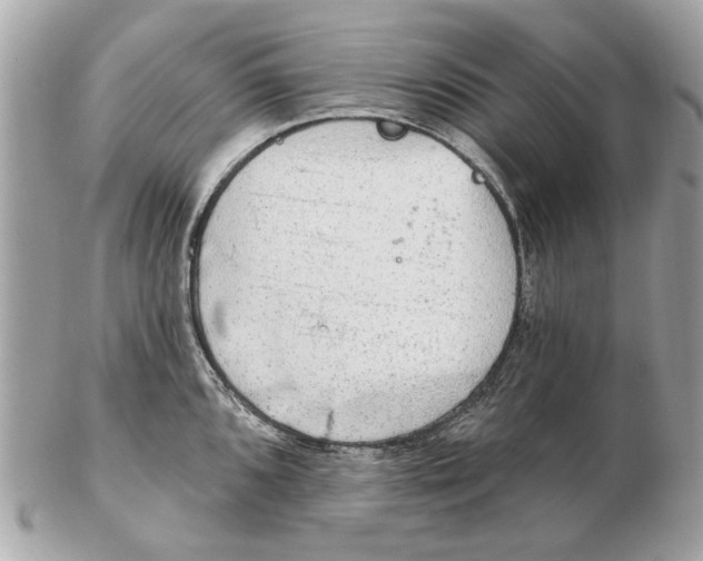 X0000102501096200808291706