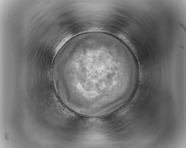 X0000102501097200808291706