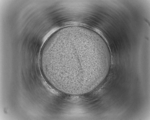 X0000102501098200808291706