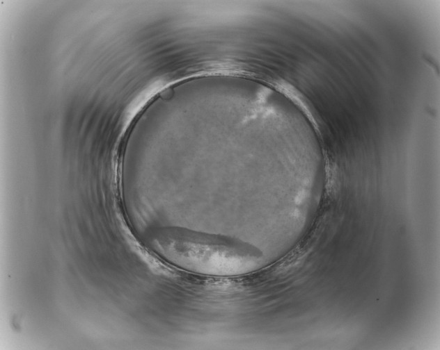 X0000102501099200808291706