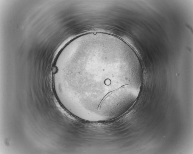 X0000102501100200808291706