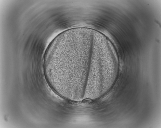 X0000102501102200808291706