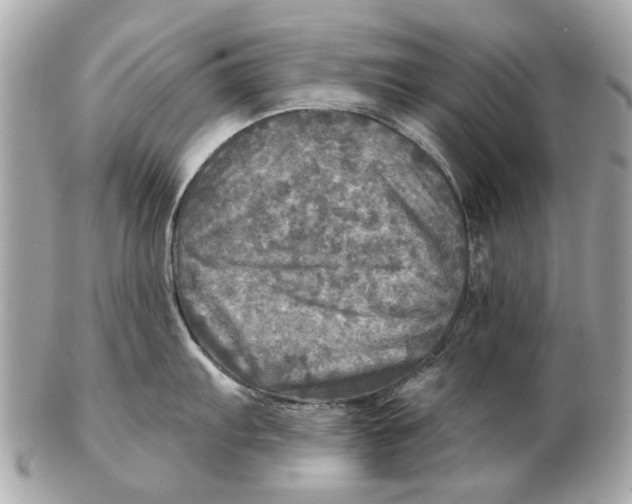 X0000102501103200808291706