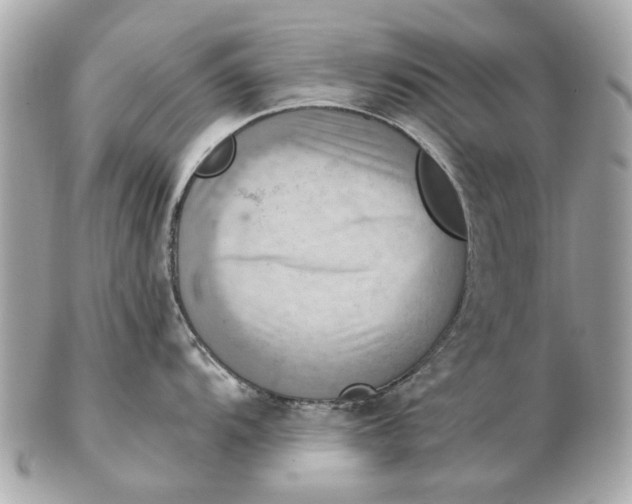 X0000102501104200808291706