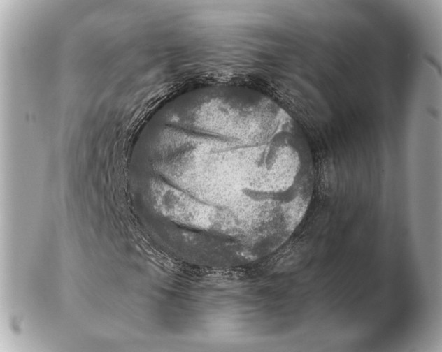 X0000102501105200808291705