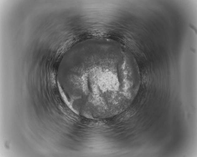 X0000102501106200808291705