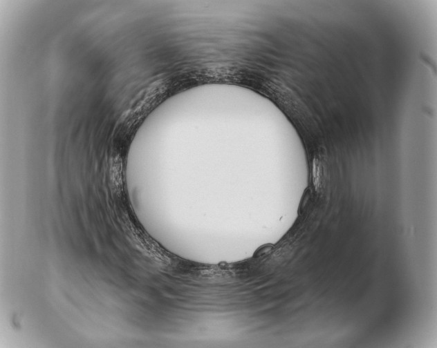 X0000102501107200808291705