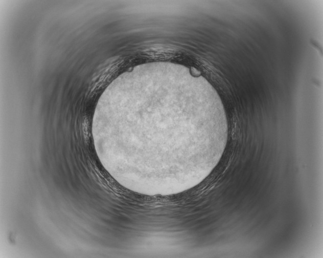 X0000102501108200808291705