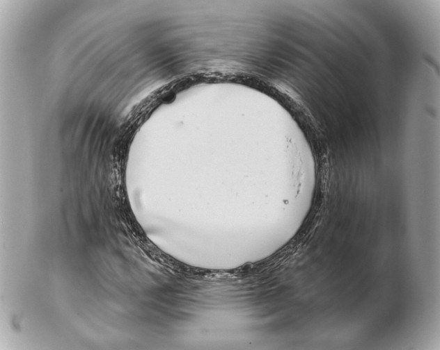 X0000102501112200808291705