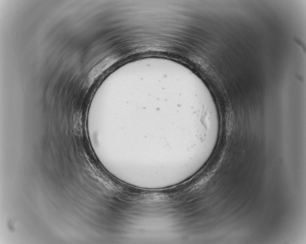 X0000102501113200808291705