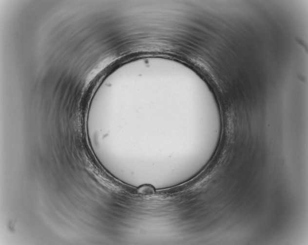 X0000102501114200808291705