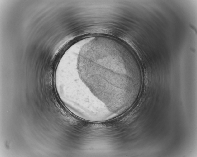 X0000102501115200808291705